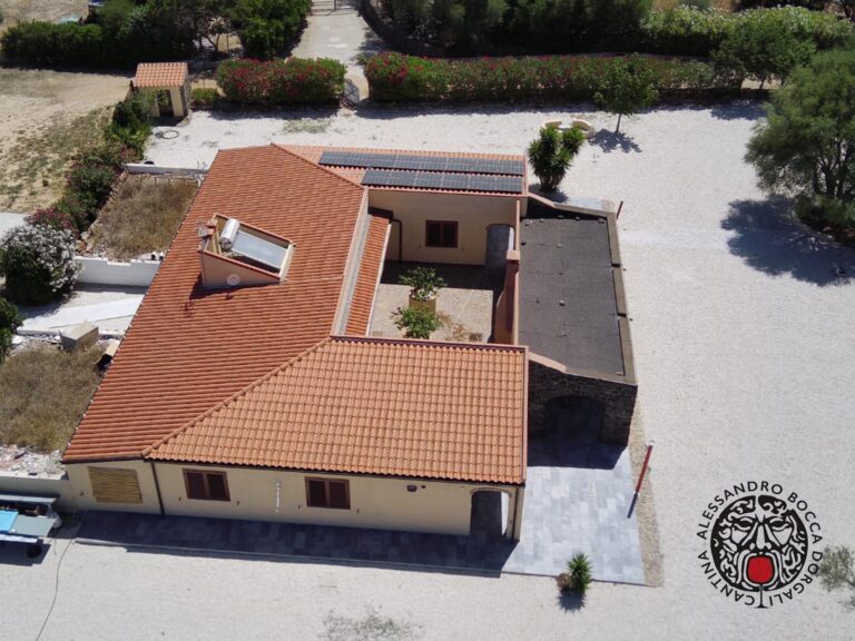 immagine whatsapp 2024 07 23 ore 12.23.25 c4c5cfa1