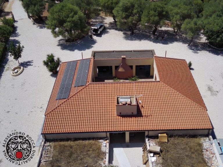 immagine whatsapp 2024 07 23 ore 12.23.26 552108da